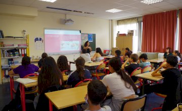 Règles Élémentaires