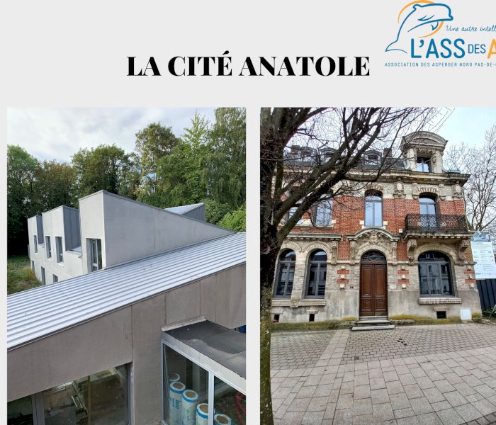 Association des Asperger et autistes de haut niveau du Nord-Pas-de-calais